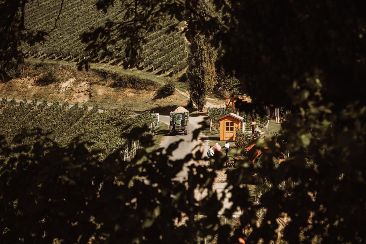 Weingut Kollerhof Am Eichberg Villa Leutschach Bagian luar foto